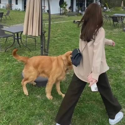 染色爱情